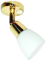 Light - Brass LED 12-24v